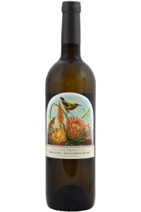 Kleine Oranjerie Semillon Sauvignon Blanc, eine frische Weißwein-Cuvée aus Semillon und Sauvignon Blanc aus Südafrika.
