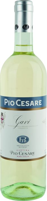 Pio Cesare Gavi 2025