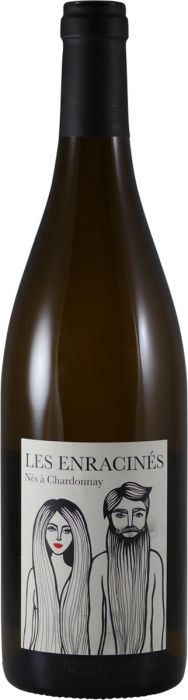 Les Enracinés Macon Chardonnay 2022